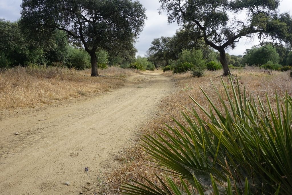 Titelbild Vía de la Plata - Wanderlust Jakobswege