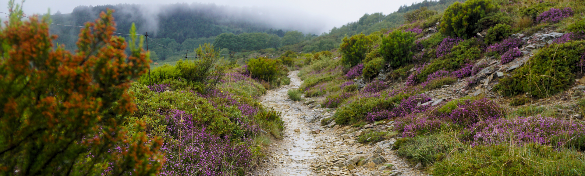 Körperliche und geistige Herausforderung!