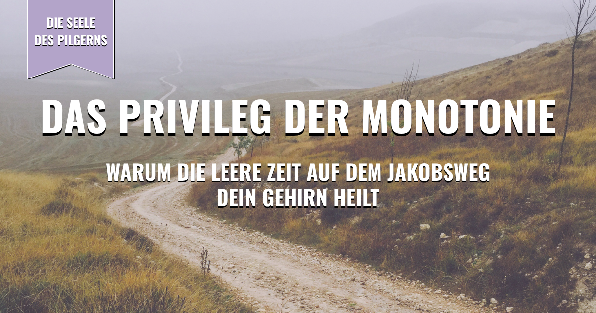 Thumbnail - Privileg der Monotonie: Warum die leere Zeit auf dem Jakobsweg dein Gehirn heilt
