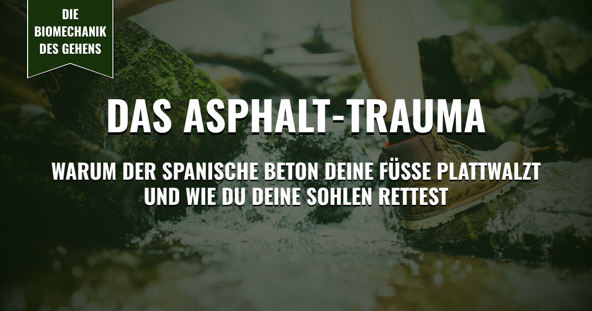 Thumbnail - Das Asphalt-Trauma