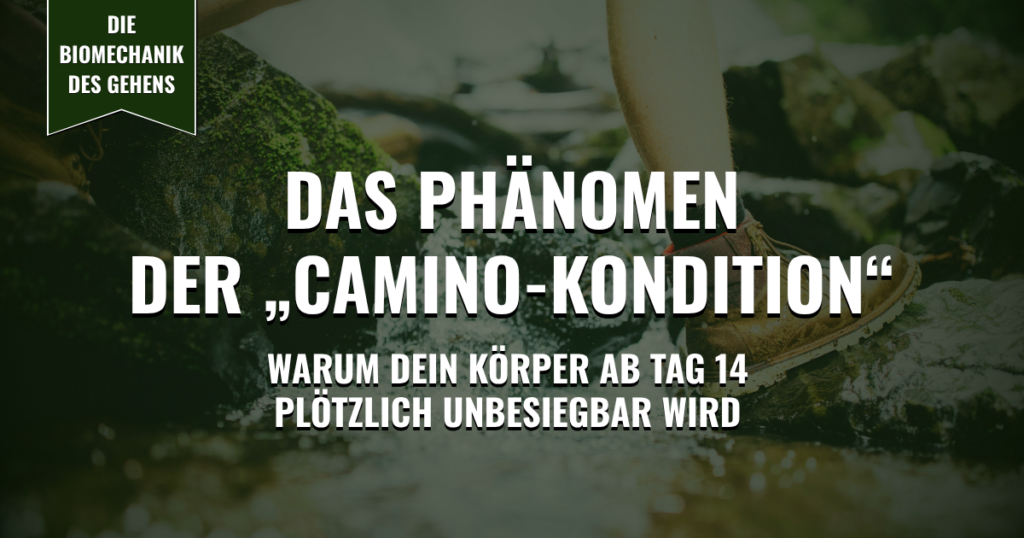 Thumbnail - Das Phänomen der "Camino-Kondition"