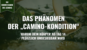 Thumbnail - Das Phänomen der "Camino-Kondition"