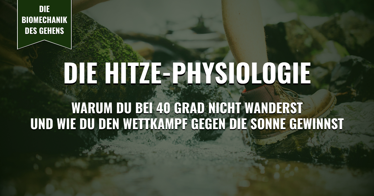 Thumbnail - Die Hitze-Physiologie