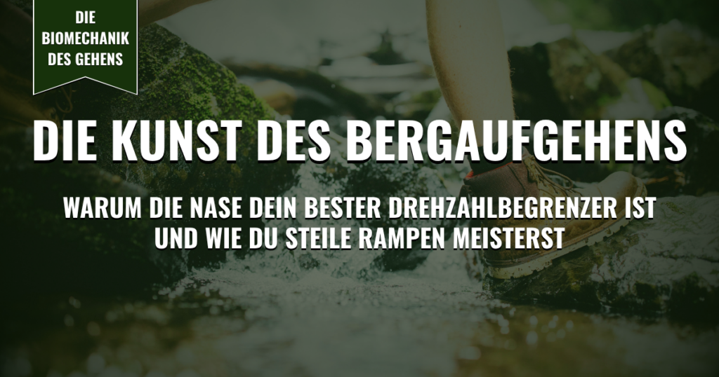 Thumbnail - Die Kunst des Bergaufgehens