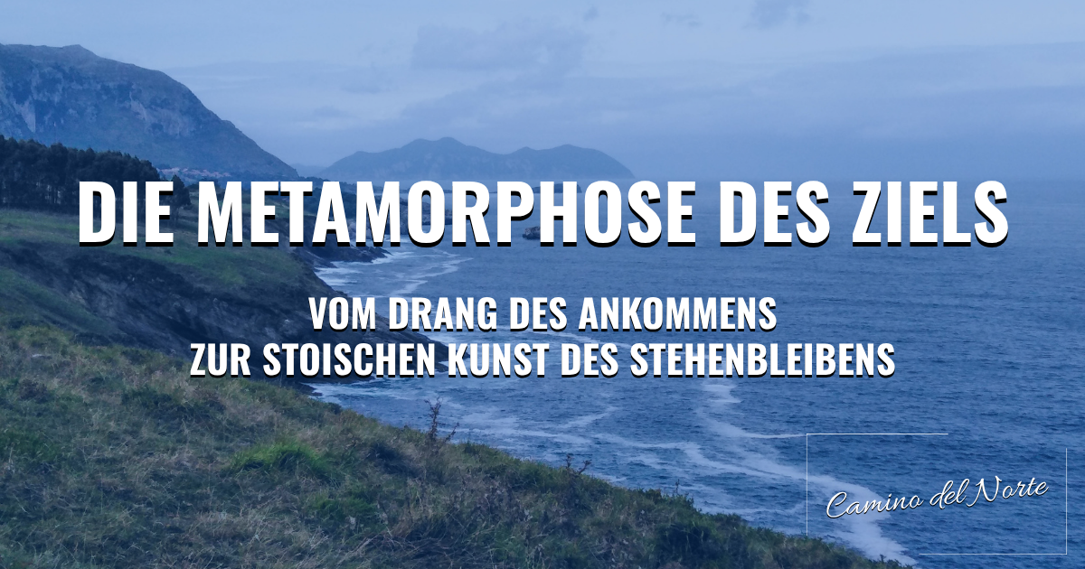 Camino del Norte: Die Metamorphose des Ziels – Vom Drang des Ankommens zur stoischen Kunst des Stehenbleibens
