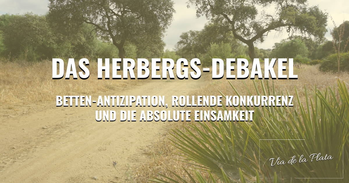 Vía de la Plata: Das Herbergs-Debakel – Betten-Antizipation, rollende Konkurrenz und die absolute Einsamkeit