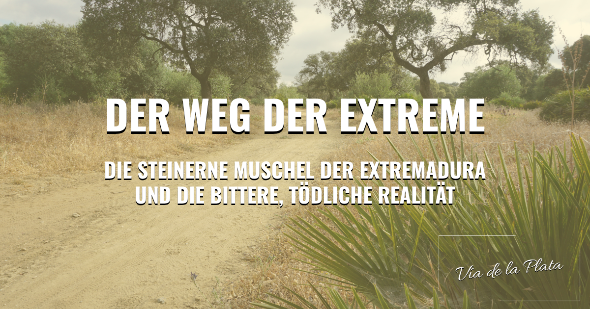 Vía de la Plata: Der Weg der Extreme – Die steinerne Muschel der Extremadura und die bittere, tödliche Realität