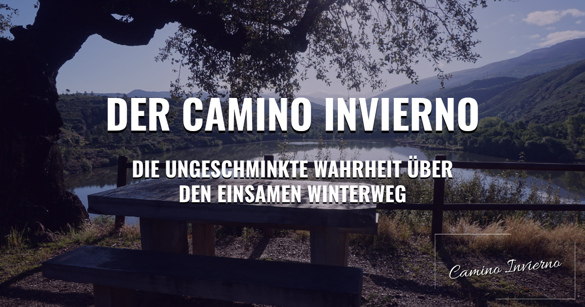 Der Camino Invierno: Die ungeschminkte Wahrheit über den einsamen Winterweg