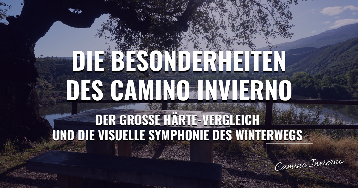 Die Besonderheiten des Camino Invierno: Der große Härte-Vergleich und die visuelle Symphonie des Winterwegs