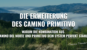 Die Erweiterung des Camino Primitivo: Warum die Kombination aus Camino del Norte und Primitivo dein System perfekt stählt