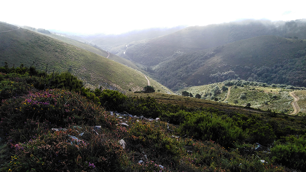 Camino Primitivo - Hospitales Route - 01