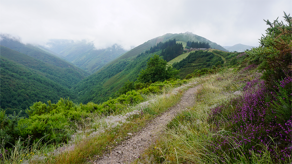 Camino Primitivo - Hospitales Route - 03